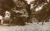 Le parc de la Société d‘ horticulture